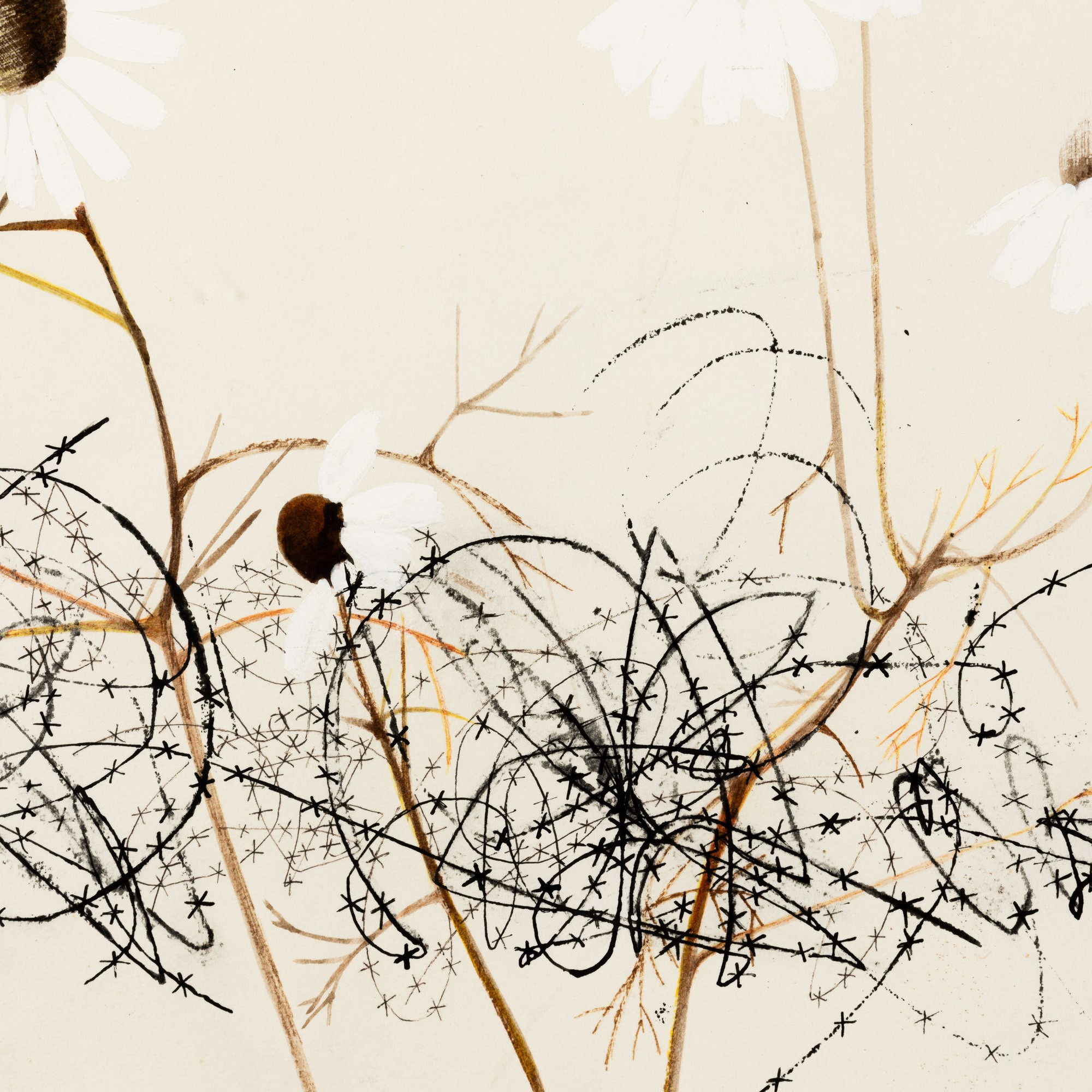Porzano, Fiori e reticolati
