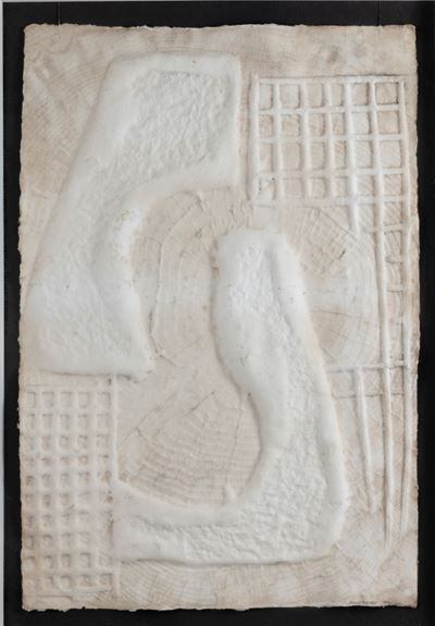 Impronta in cellulosa