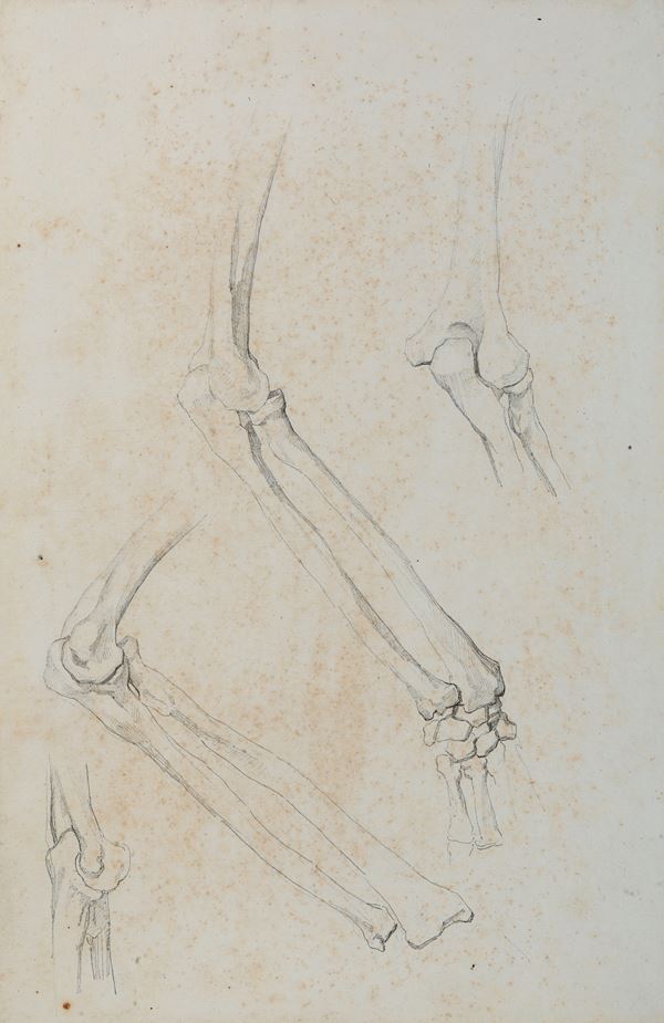 Vincenzo Camuccini - Studi di anatomia dal vero - scheletro