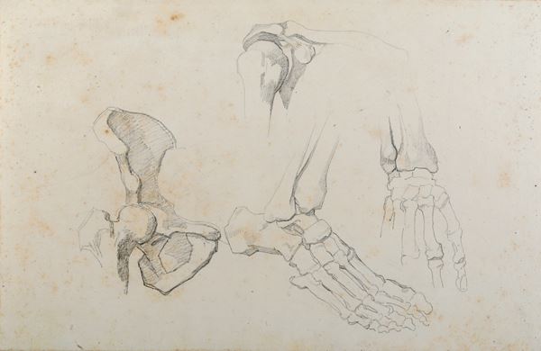 Vincenzo Camuccini - Studi di anatomia dal vero - scheletro