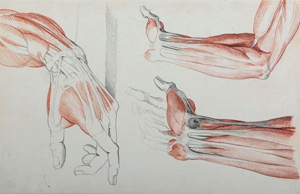 Vincenzo Camuccini - Studi di anatomia dal vero - mano