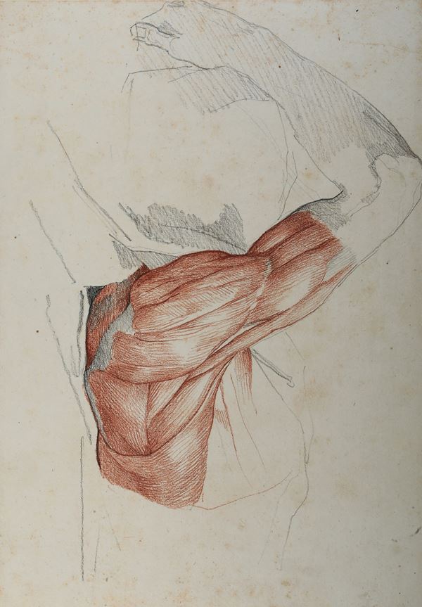 Vincenzo Camuccini - Studi di anatomia dal vero - spalla