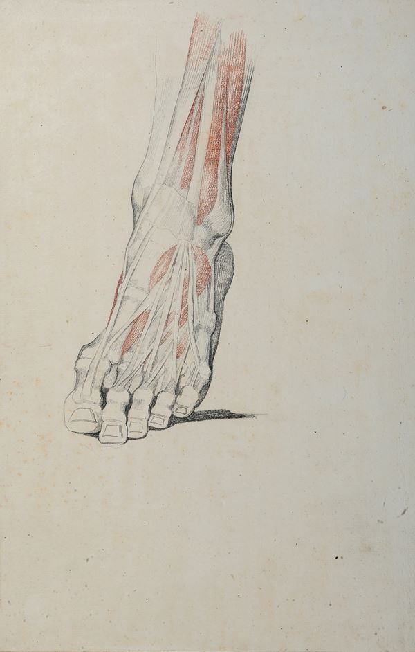 Vincenzo Camuccini - Studi di anatomia dal vero - piede