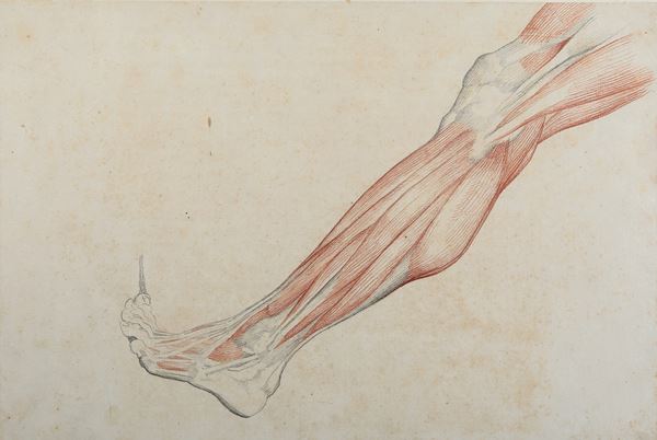 Vincenzo Camuccini - Studi di anatomia dal vero - gamba
