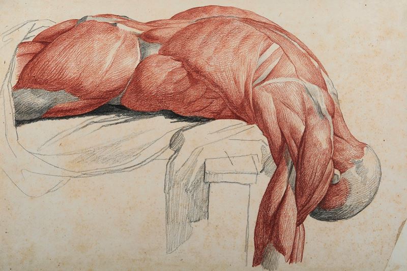 Vincenzo Camuccini : Studio di anatomia dal vero - nudo maschile  - matita nera e rossa su carta - Asta Dipinti Antichi - I - Cambi Casa d'Aste