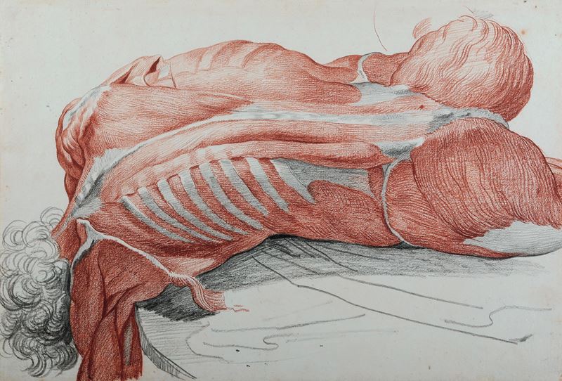 Vincenzo Camuccini : Studio di anatomia dal vero - nudo maschile  - matita nera e rossa su carta - Asta Dipinti Antichi - I - Cambi Casa d'Aste