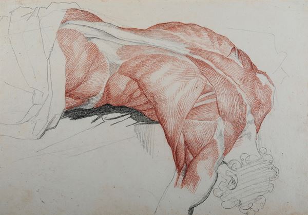 Studio di anatomia dal vero - nudo maschile