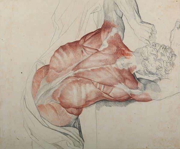 Studio di anatomia dal vero - nudo maschile