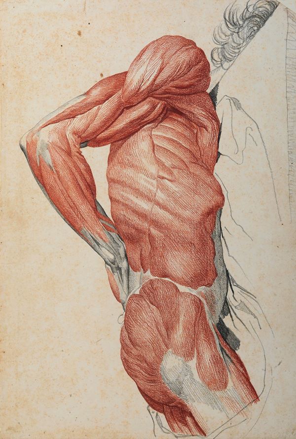 Vincenzo Camuccini - Studio di anatomia dal vero - nudo maschile