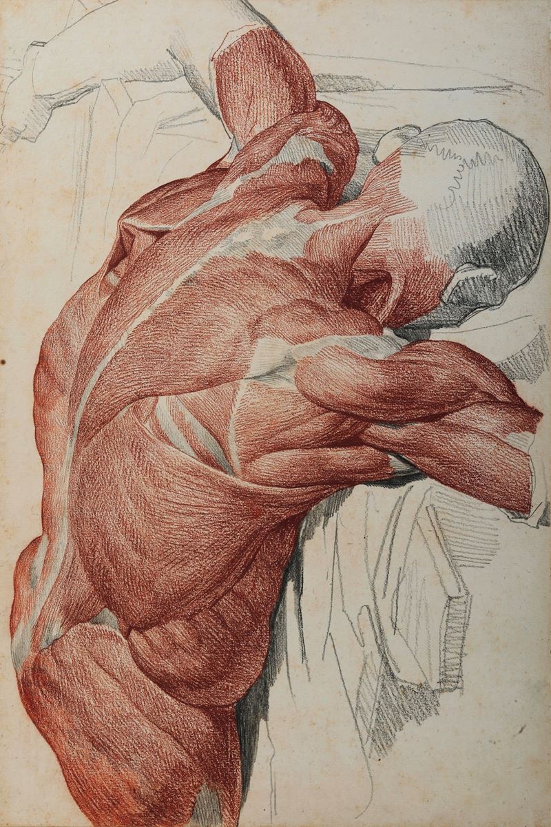 Vincenzo Camuccini : Studio di anatomia dal vero - nudo maschile  - matita nera e rossa su carta - Asta Dipinti Antichi - I - Cambi Casa d'Aste