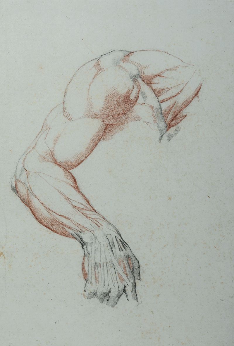 Vincenzo Camuccini : Studio di anatomia dal vero - braccio  - matita nera e rossa su carta preparata - Asta Dipinti Antichi - I - Cambi Casa d'Aste