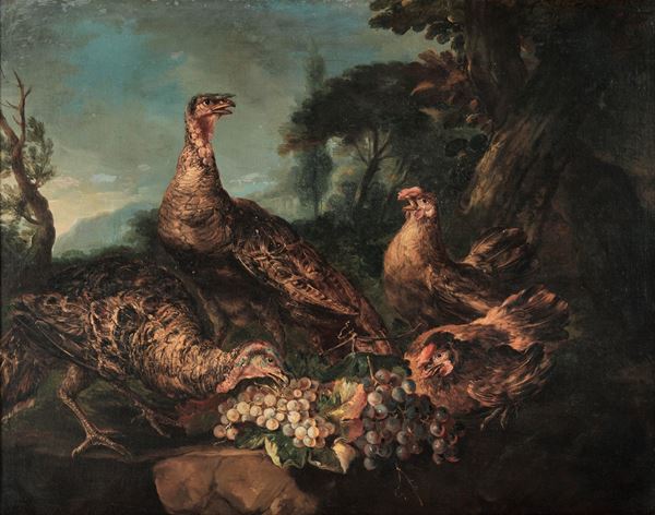 Angelo Maria Crivelli detto il Crivellone - Tacchini e galline che mangiano grappoli d'uva