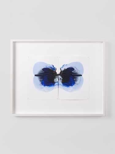 Daniele Innamorato - Opera Rare Butterfly Collection donata da Nilufar Gallery