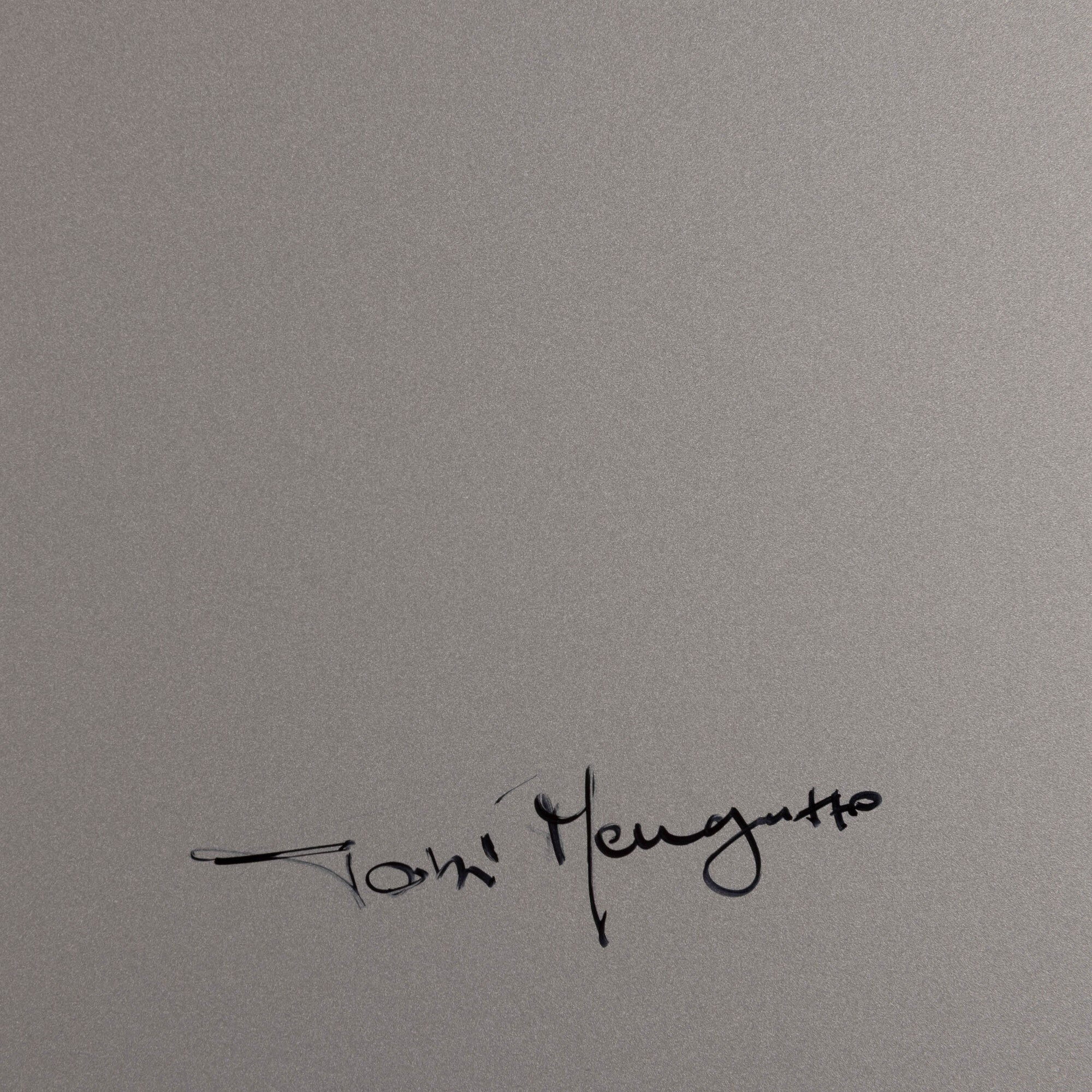 Toni Meneguzzo, Toni Meneguzzo - Kanji #09