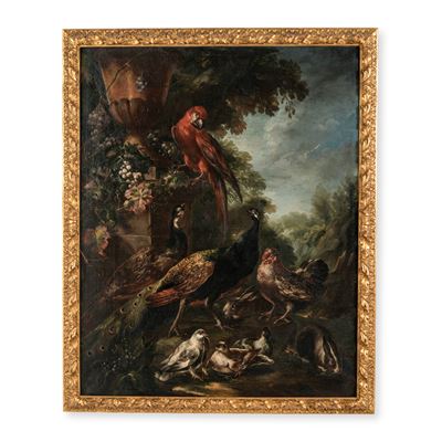 Paesaggio con pappagallo, pavoni, gallinacei e conigli, olio su tela