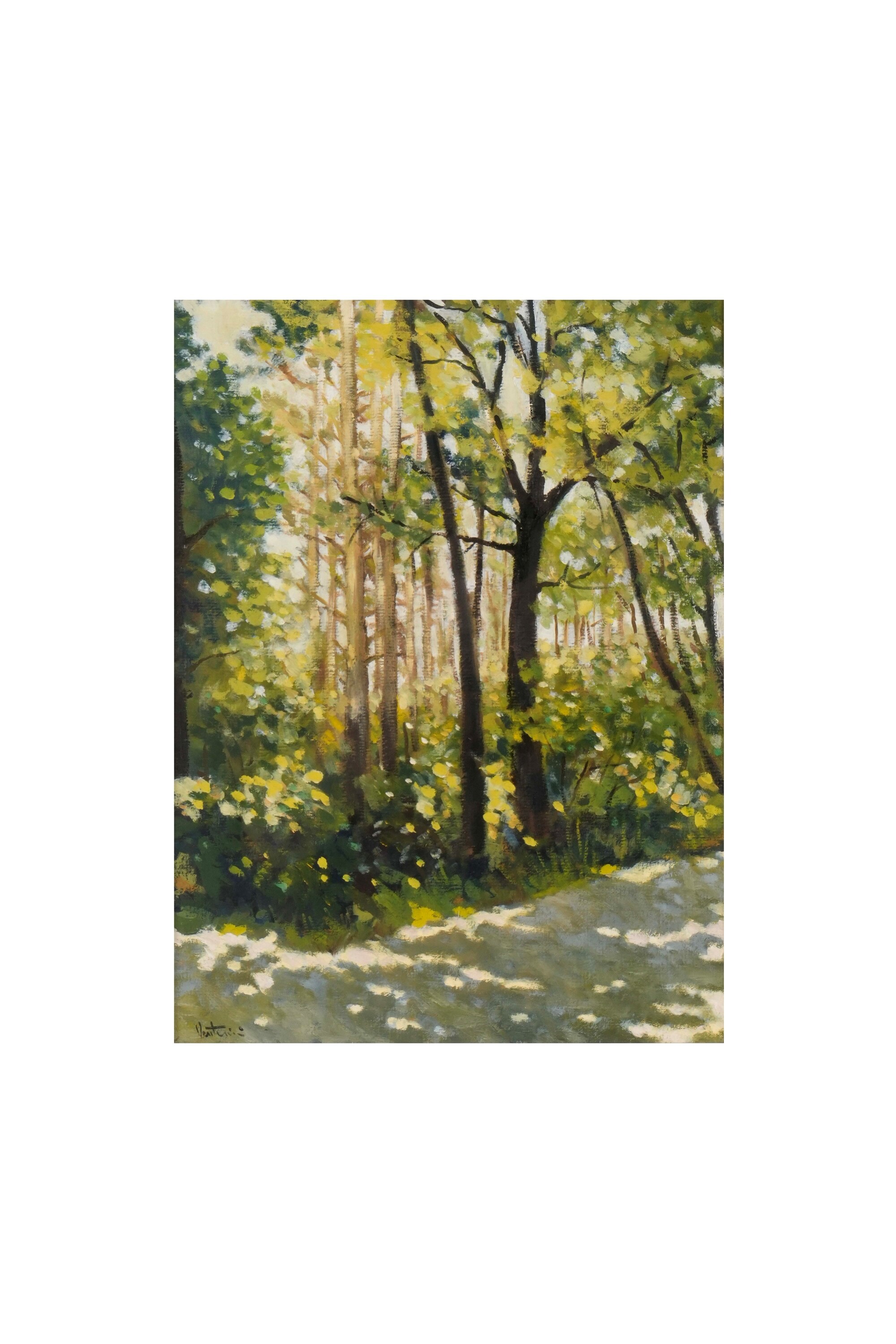 Venturini Paesaggio