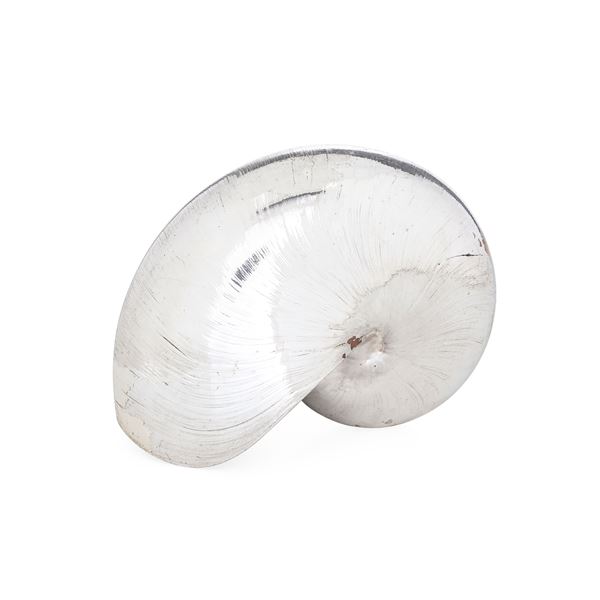 Nautilus rivestito in argento. Etichetta con firma "Mario Buccellati". Italia XX secolo