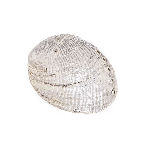 Conchiglia rivestita in argento. Etichetta con firma "Mario Buccellati". Italia XX secolo