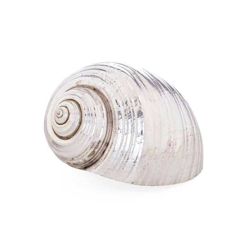 Conchiglia rivestita in argento. Etichetta con firma "Mario Buccellati". Italia XX secolo