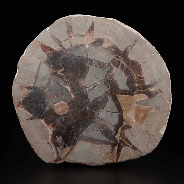 Sezione di Septaria (?)