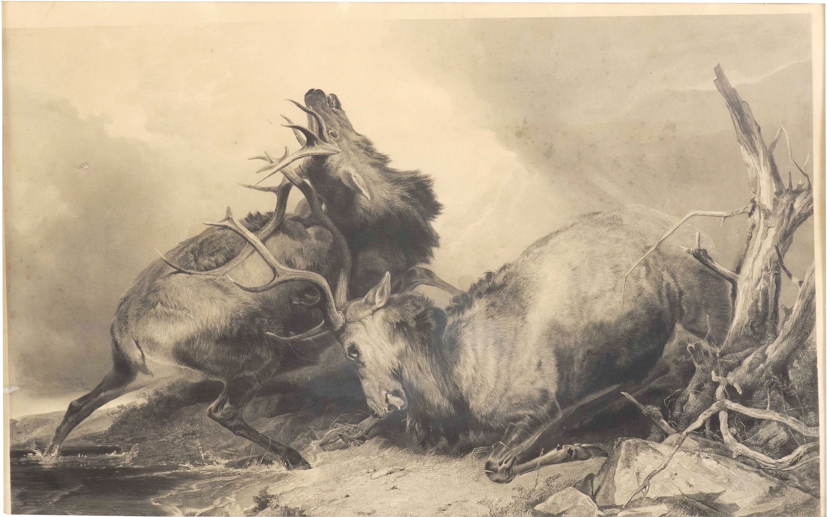 Landseer Thomas e Edwin, Scene di caccia: La guida allo sparo dei cervi e Il combattimento, litog...