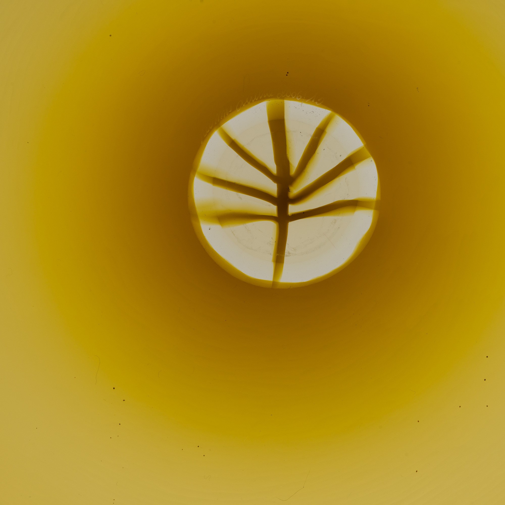 Laura Diaz De Santillana - Serie 'Le quattro stagioni', vetro soffiato a incalmo, 1983 - 2006