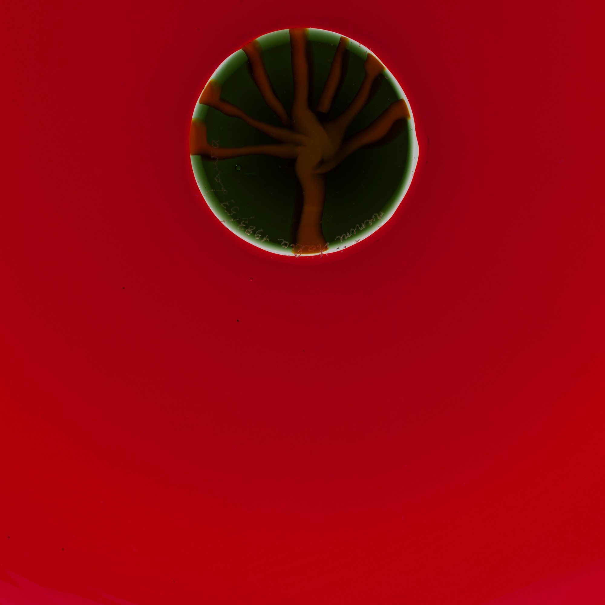 Laura Diaz De Santillana - Serie 'Le quattro stagioni', vetro soffiato a incalmo, 1983 - 2006
