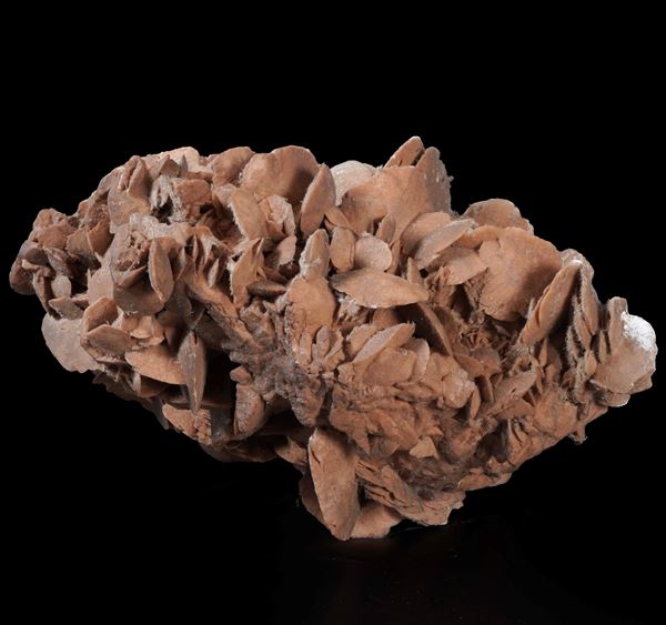 Grande ed elegante rosa del deserto (solfato di calcio idrato)