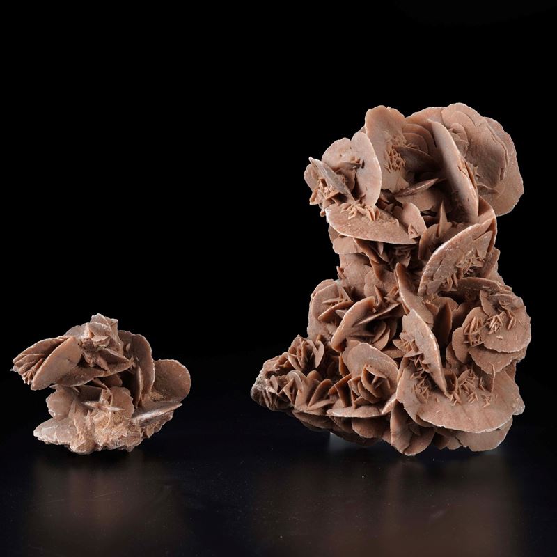 Due formazioni di  rose del deserto (solfato di calcio idrato)  - Auction Antiques - Cambi Casa d'Aste