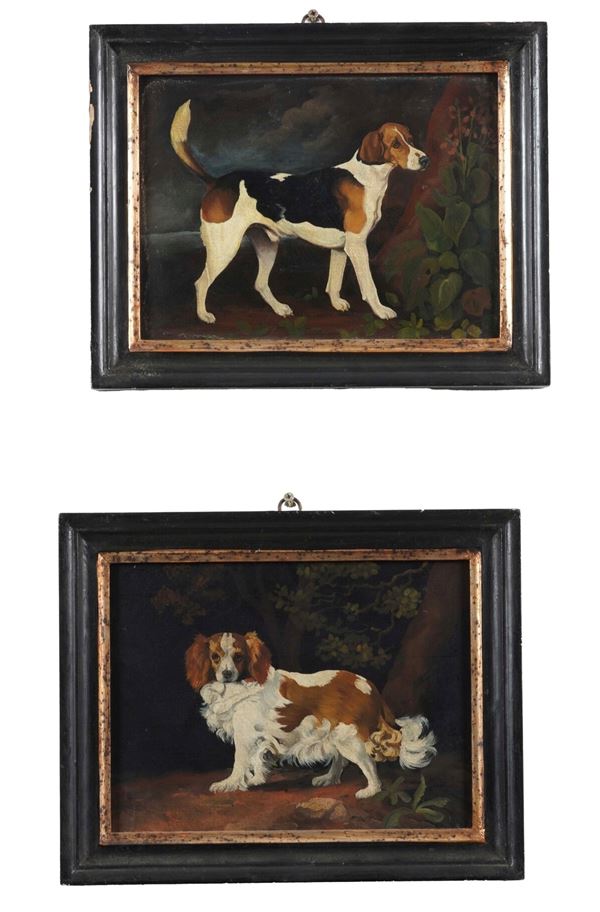 Scuola del XX secolo Cani