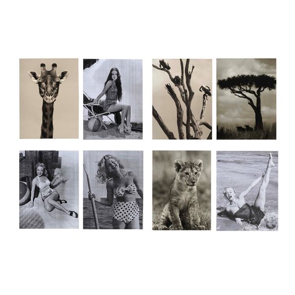 Lotto di otto fotografie