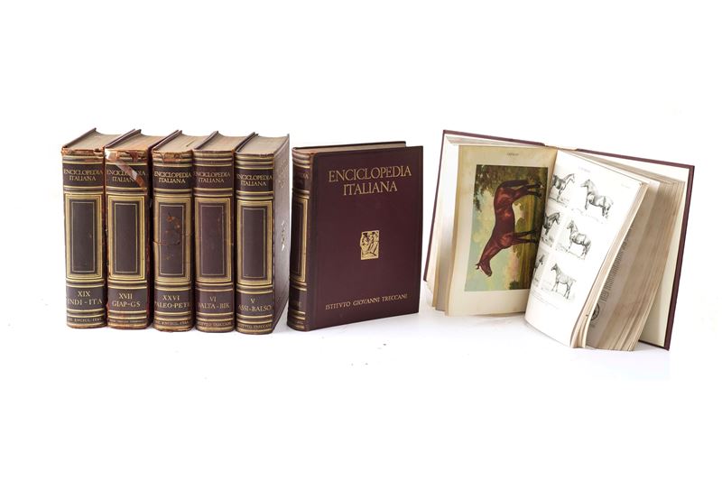 Grande encicloperida Treccani  - Auction Antiques - Cambi Casa d'Aste