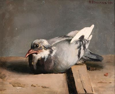 Antonio Sicurezza, Piccione, olio su cartone