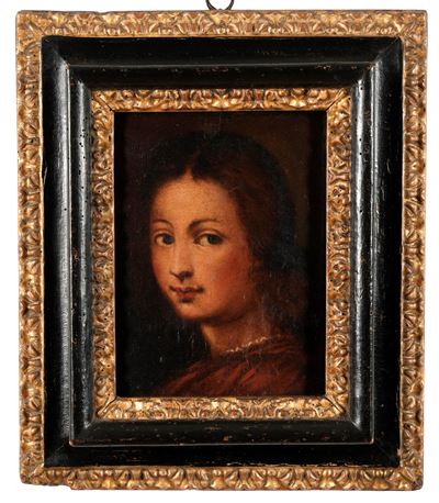 Nei modi della pittura del XVI secolo, Ritratto di giovinetto, olio su carta applicata su tavolet...