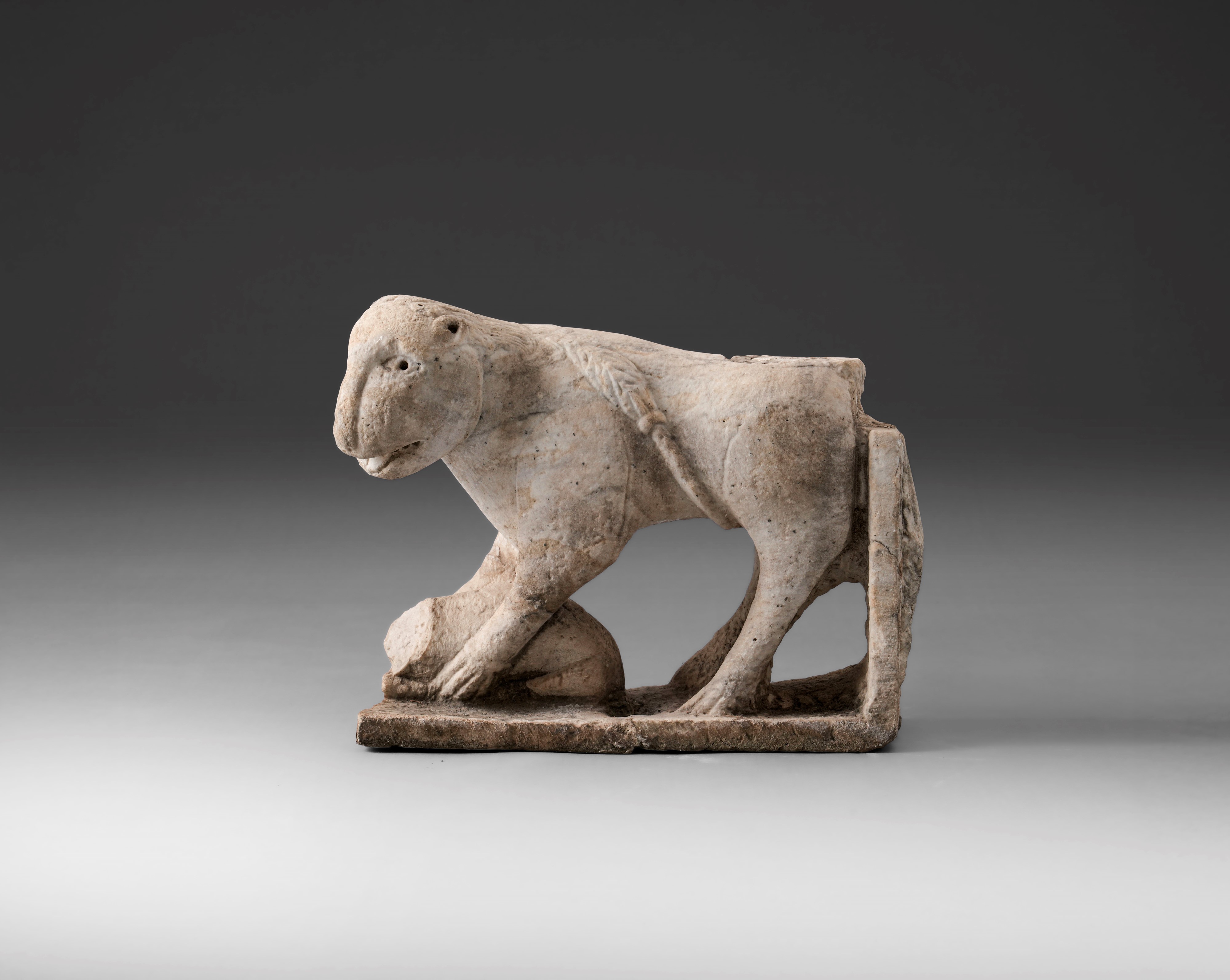 Leone stiloforo, scultura in marmo dell'arte romanica del XII-XIII secolo