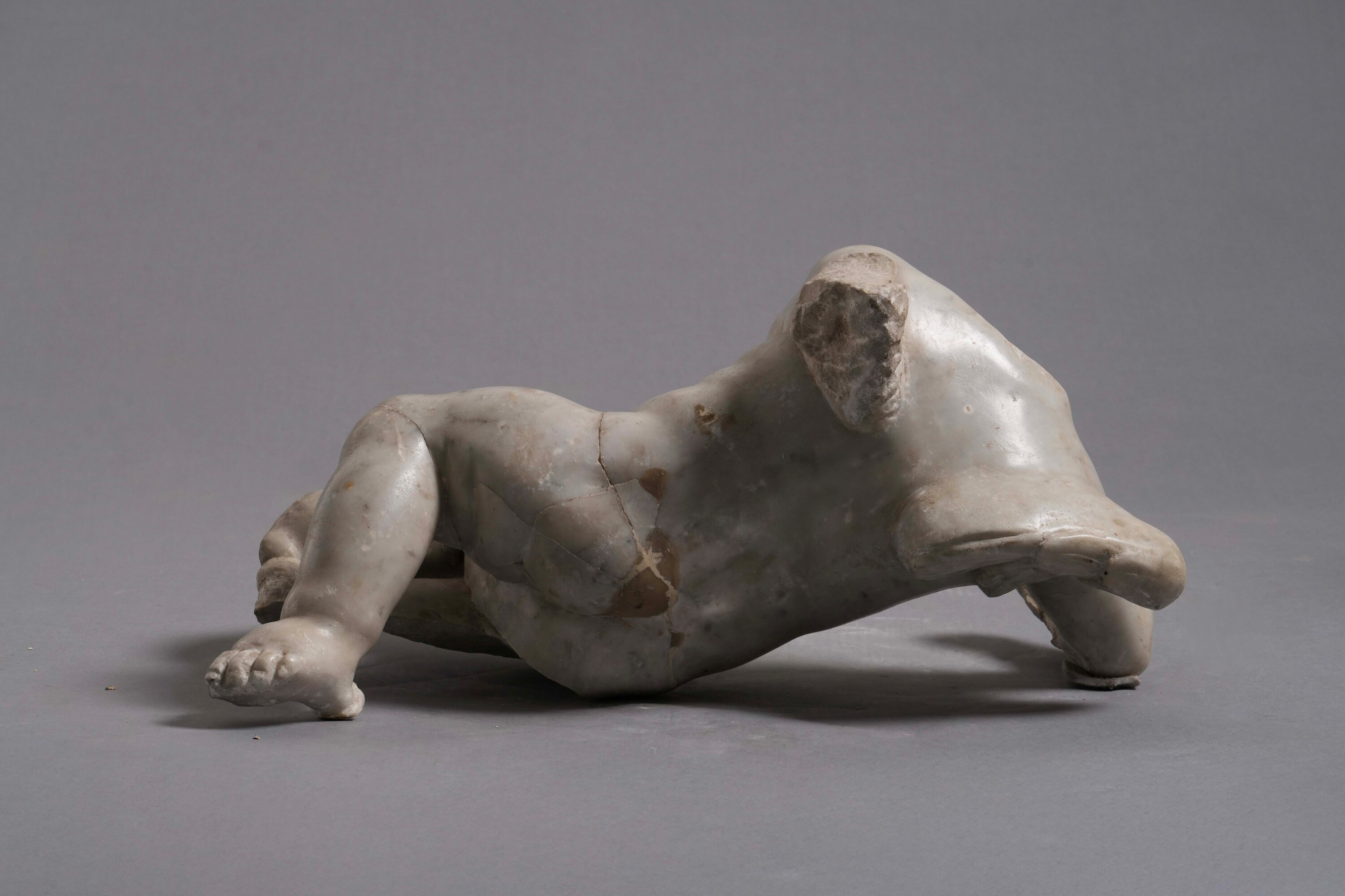 Putto Acefalo. Arte Barocca Italiana XVII Secolo