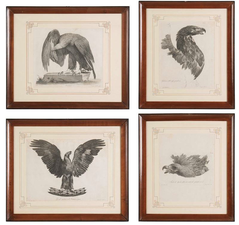 Gruppo di quattro incisioni raffiguranti aquile  - Asta Dimore Italiane TIME - Cambi Casa d'Aste
