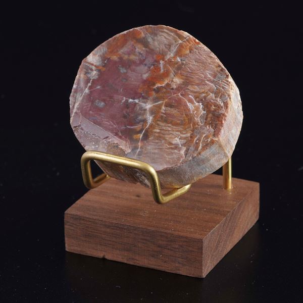 Particolare sezione di legno fossile.