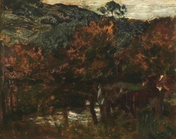 Mucche all'abbeveratoio