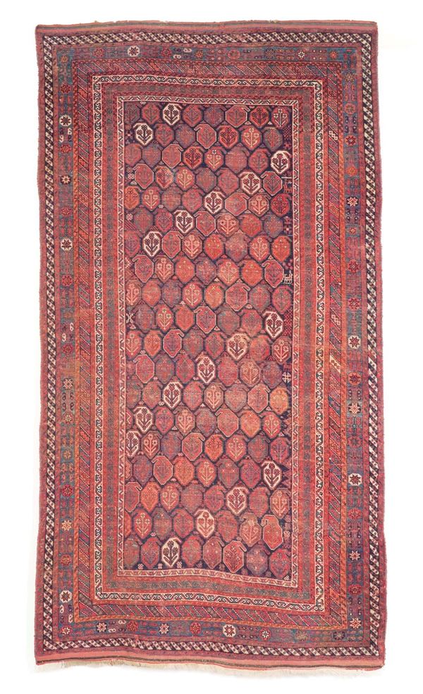 Kelley Afshari, sud Persia fine XIX secolo campo blu scuro con bothe