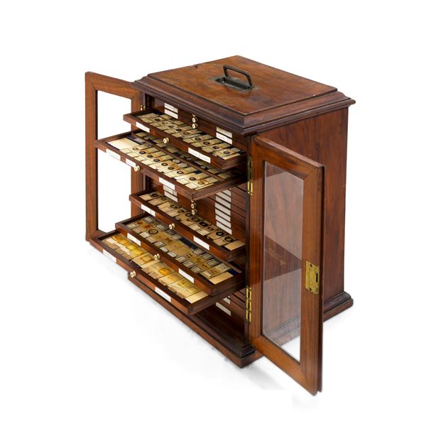 Vetrina contenitore a scomparti, XIX secolo