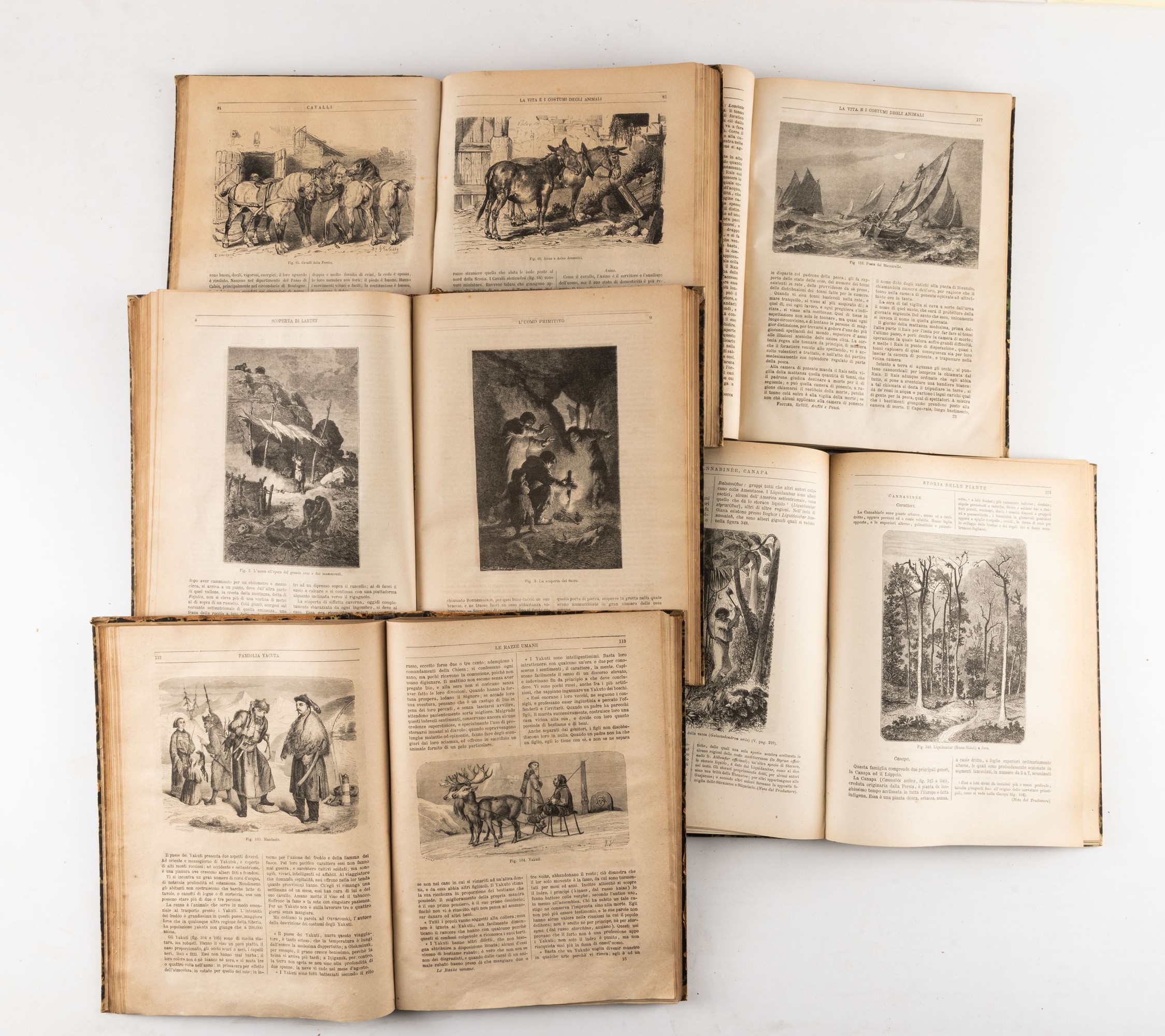 Figueir Louis, Vita e costumi degli animali, voll. 1 e 2; Storia delle piante; Razze umane; La te...
