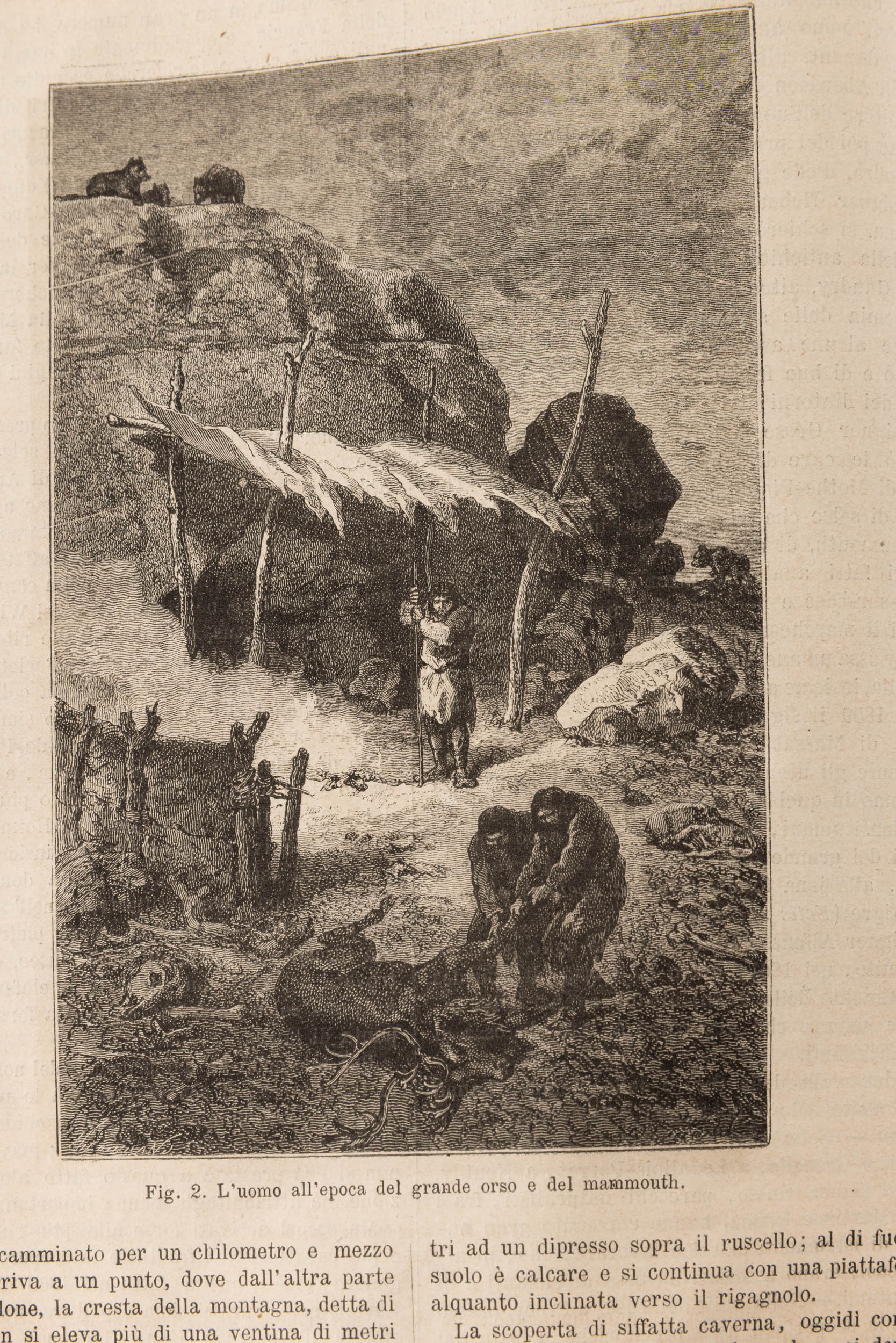 Figueir Louis, Vita e costumi degli animali, voll. 1 e 2; Storia delle piante; Razze umane; La te...