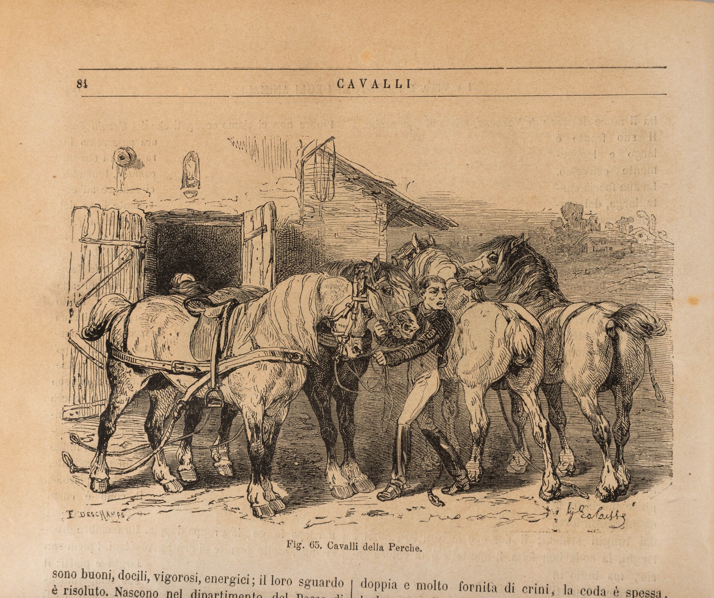Figueir Louis, Vita e costumi degli animali, voll. 1 e 2; Storia delle piante; Razze umane; La te...