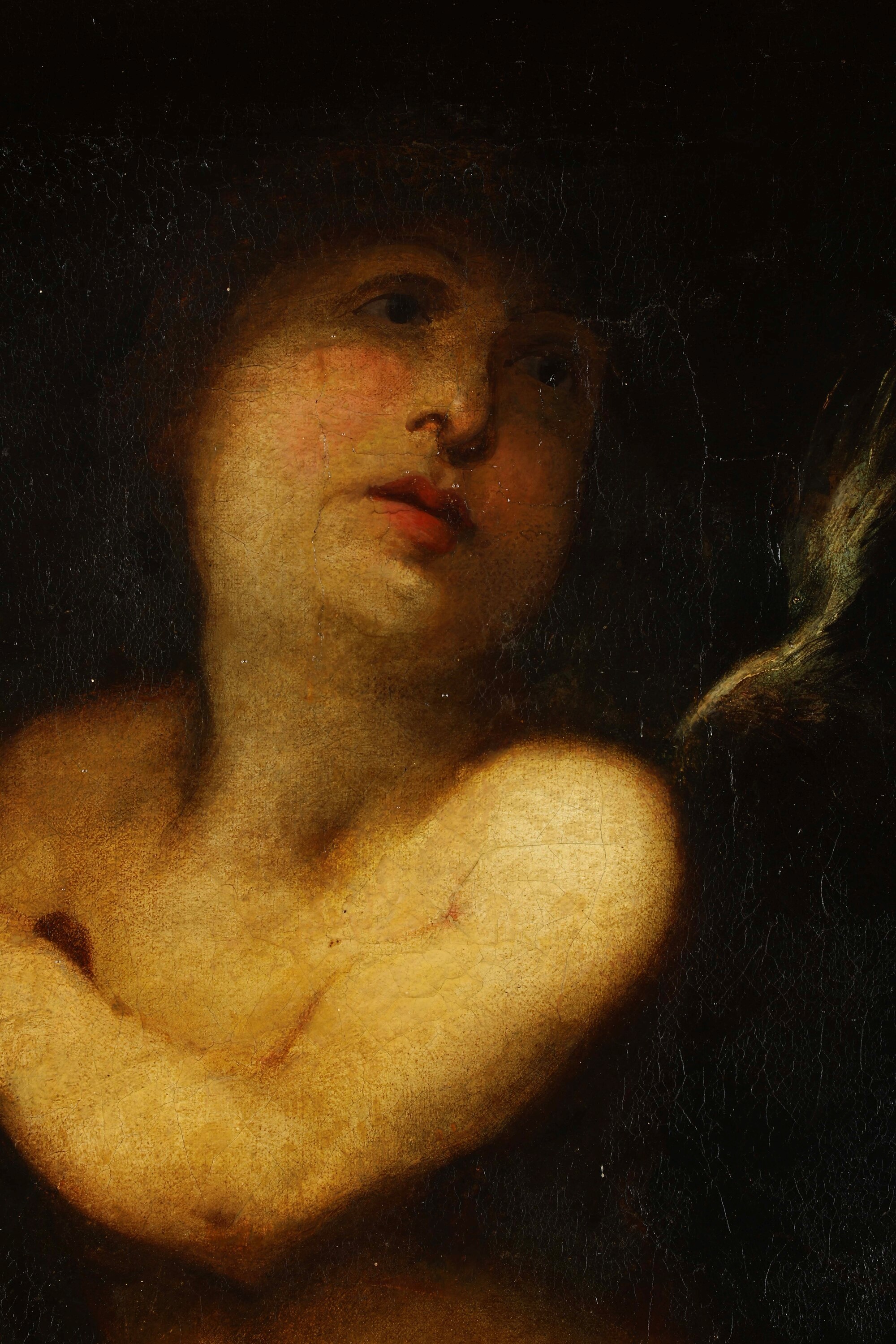 Valerio Castello - Figure di putti, olio su tela