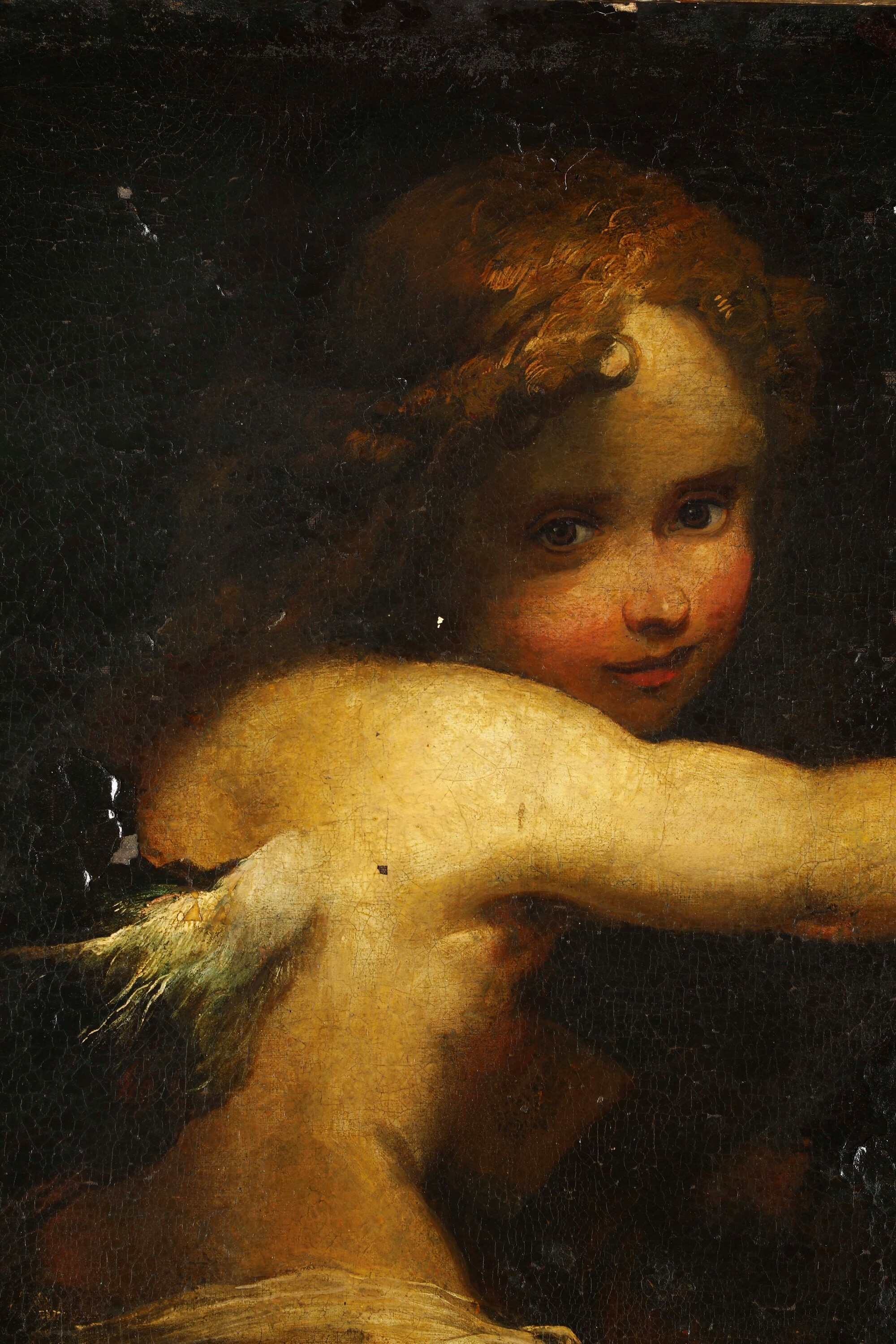 Valerio Castello - Figure di putti, olio su tela