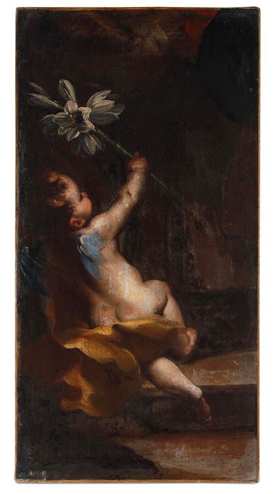 Scuola del XVII secolo, Angioletto con giglio, olio su tela