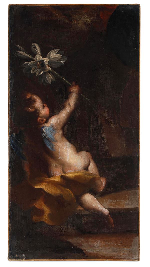 Scuola del XVII secolo Angioletto con giglio