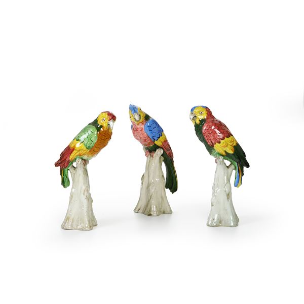 Tre pappagalli, XX secolo.