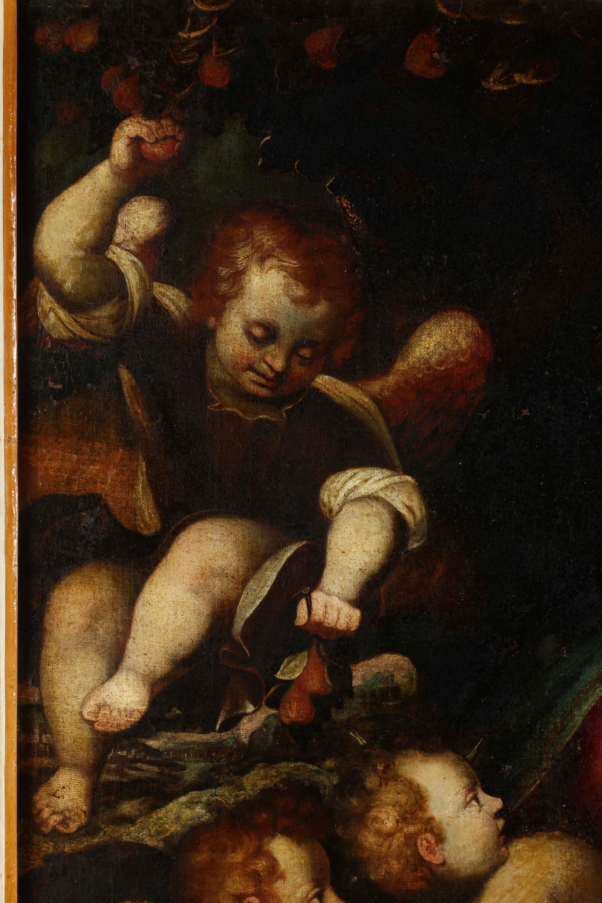 Scuola genovese del XVI secolo, Sacra Famiglia con angeli, olio su tela
